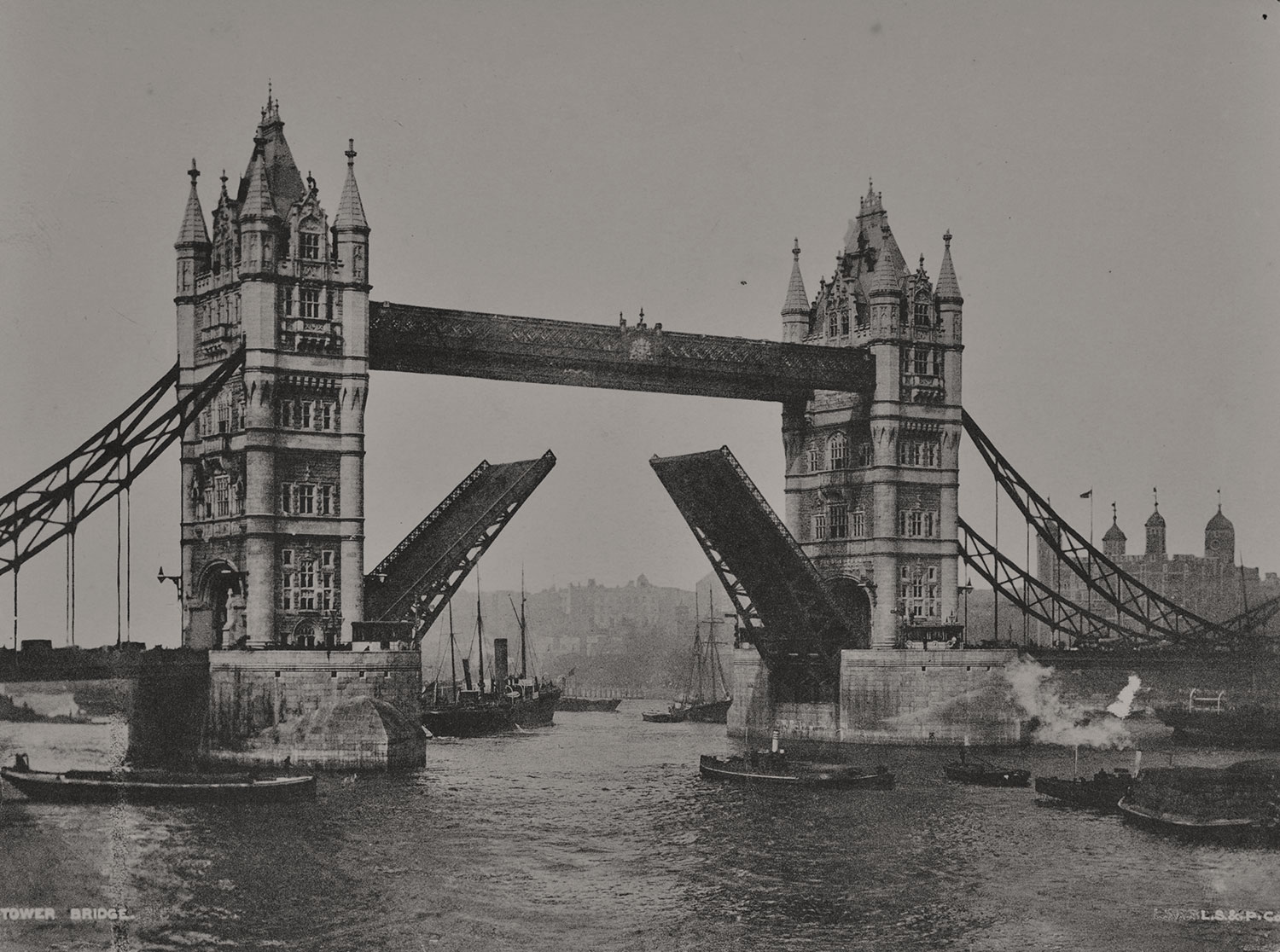 Bridge Lift Times Tower Bridge