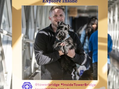 Dog-friendly Tower Bridge  Sightseeing With Your Dog