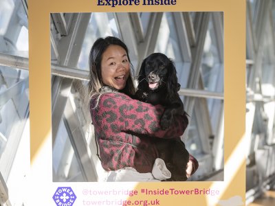 Dog-Friendly Tower Bridge Exhibition: An Eureka Dog Plan - The Londog