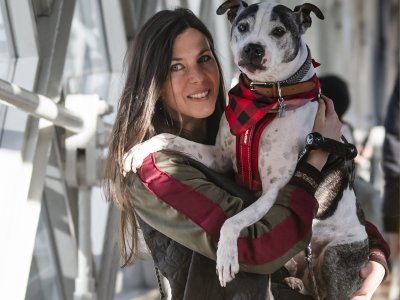 Dog-friendly Tower Bridge  Sightseeing With Your Dog